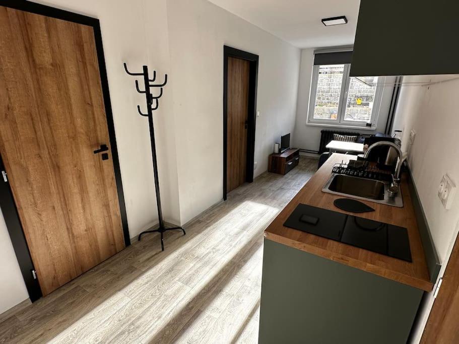 Apartmán V Rezidencni Ctvrti Prahy 6